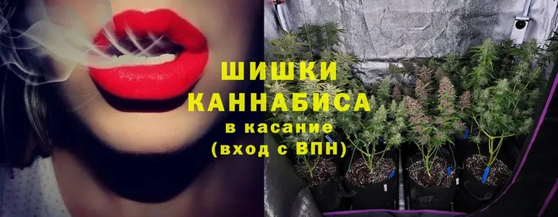 mega   как найти наркотики  Анжеро-Судженск  МАРИХУАНА сатива 